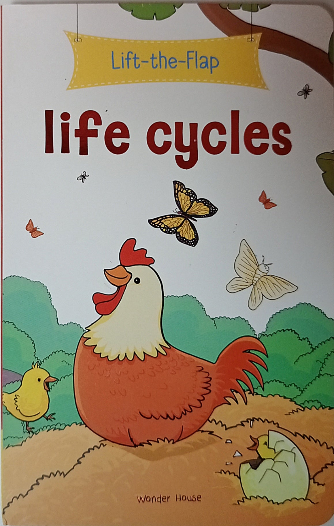 Lift-the-Flap: Life Cycles