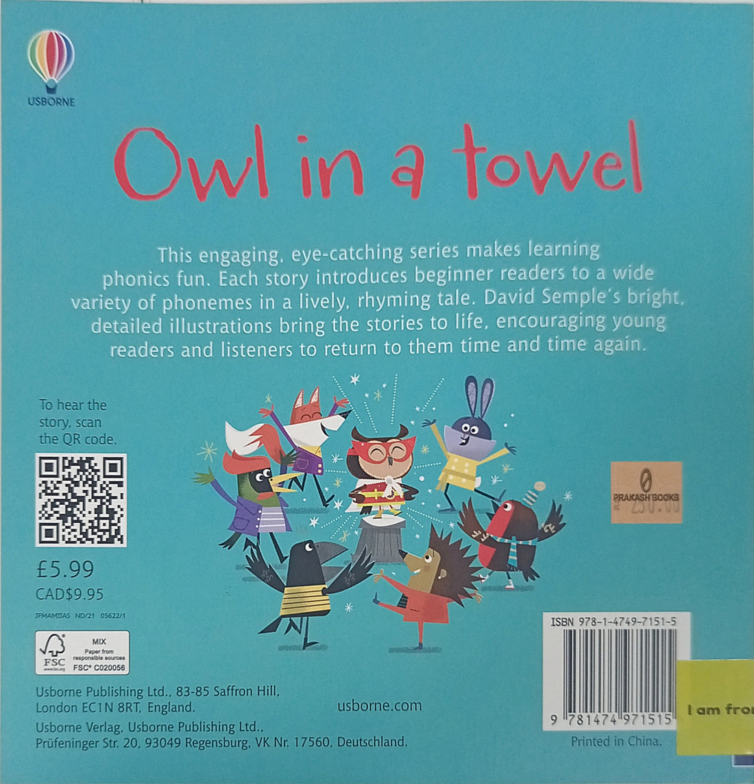 Usborne Phonics Readers: Owl in a Towel