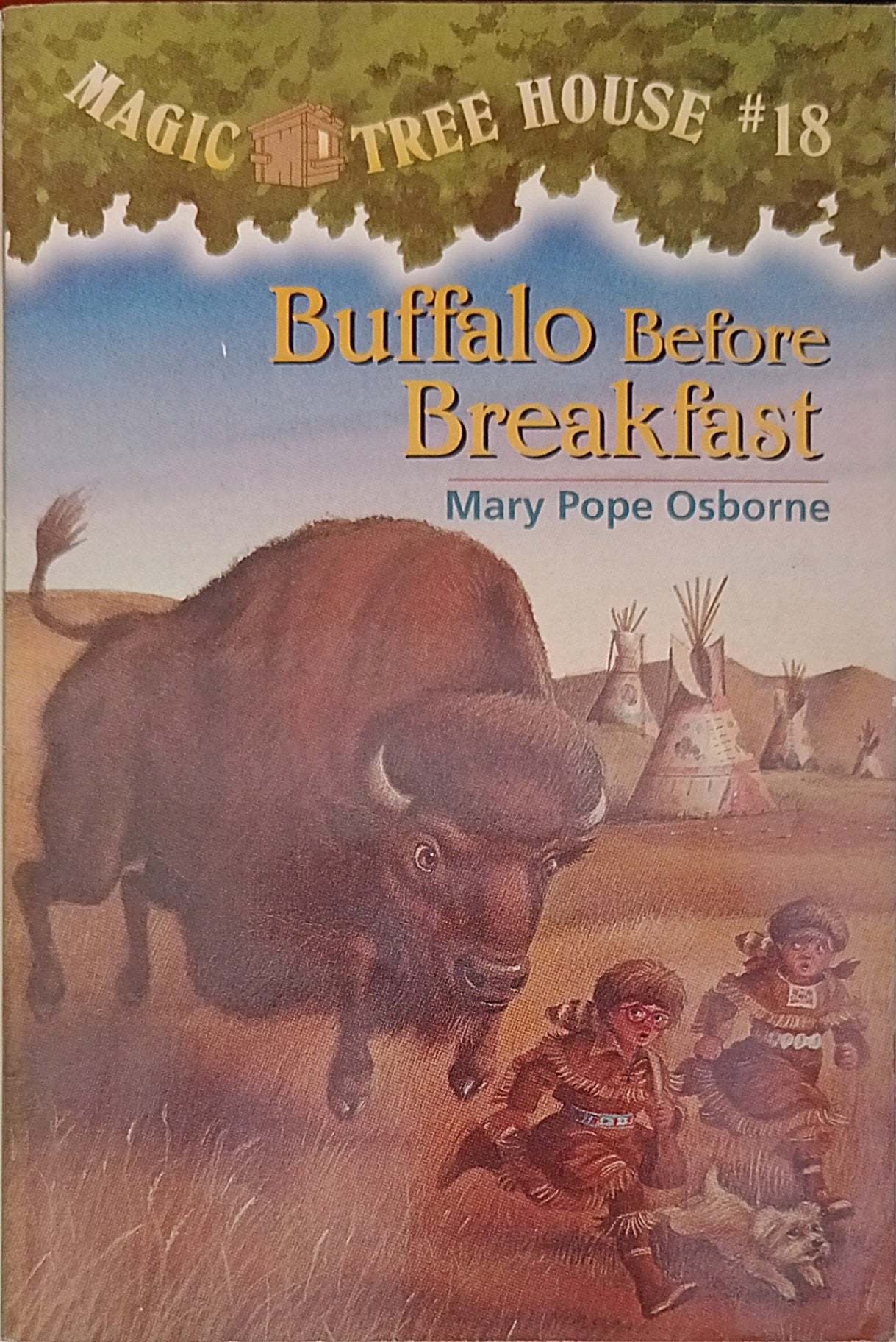 Magic Tree House Buffalo Before Breakfast