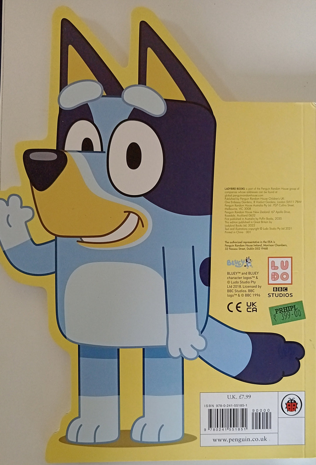 Bluey: All About Bluey
