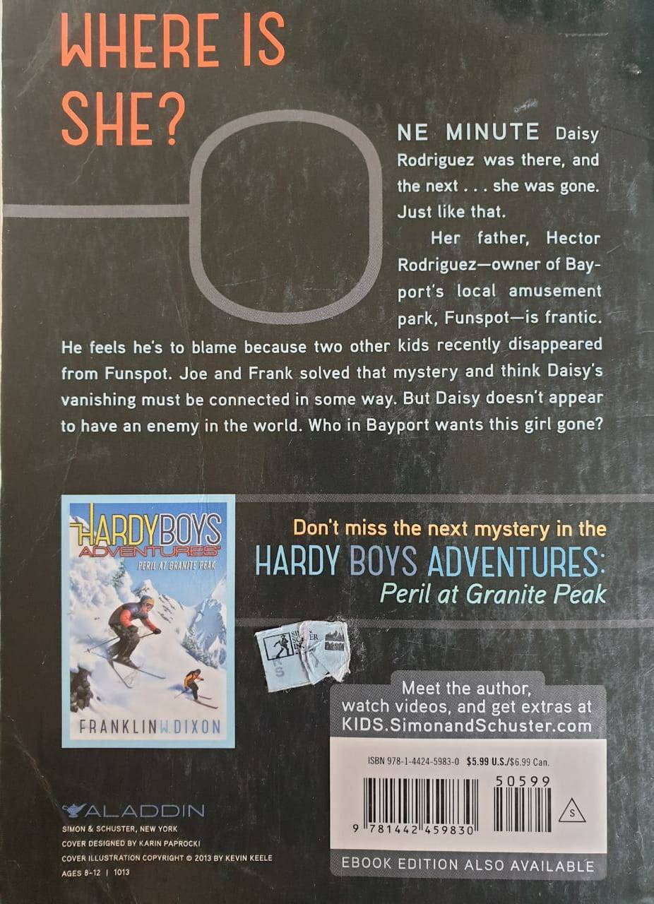Hardy Boys Adventures #4 Into Thin Air