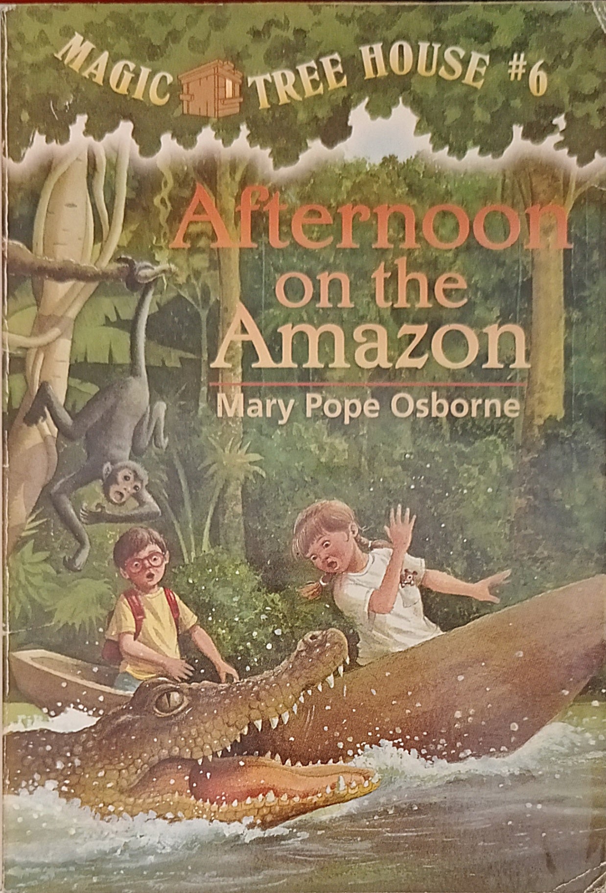 Afternoon on the Amazon