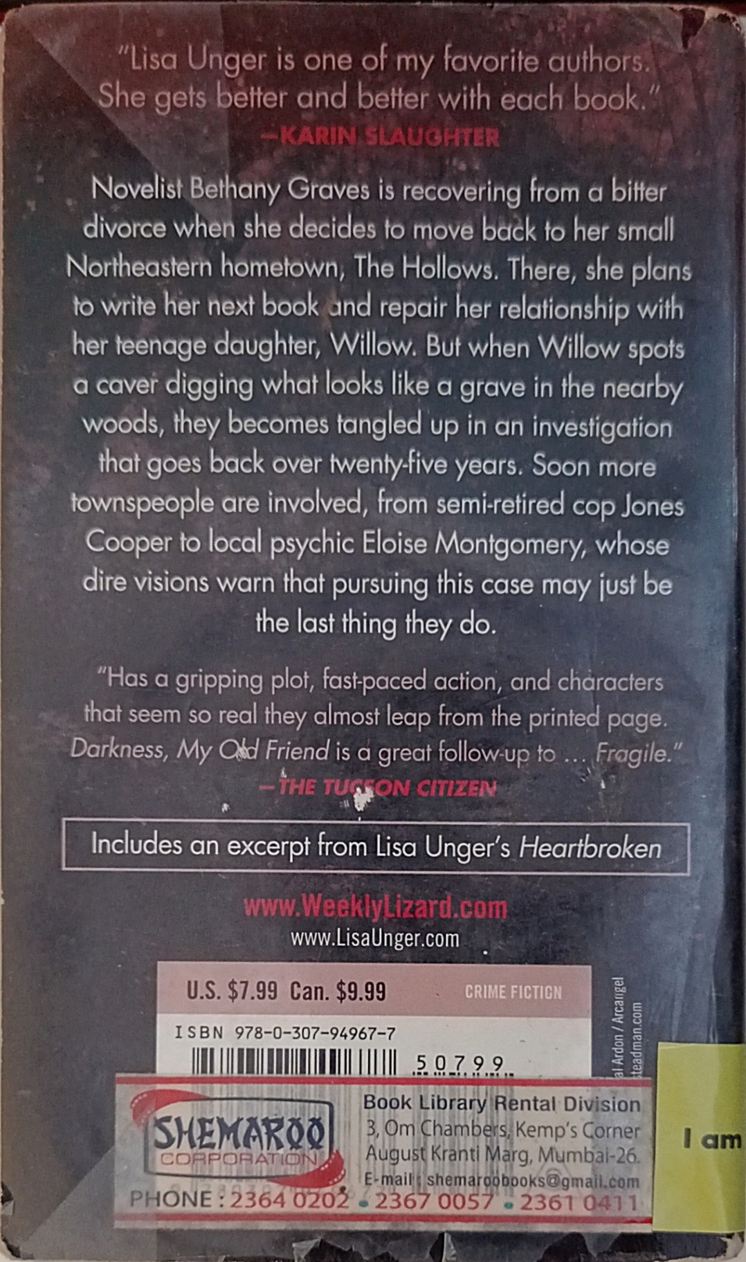 The Hollows #2 Darkness, My Old Friend