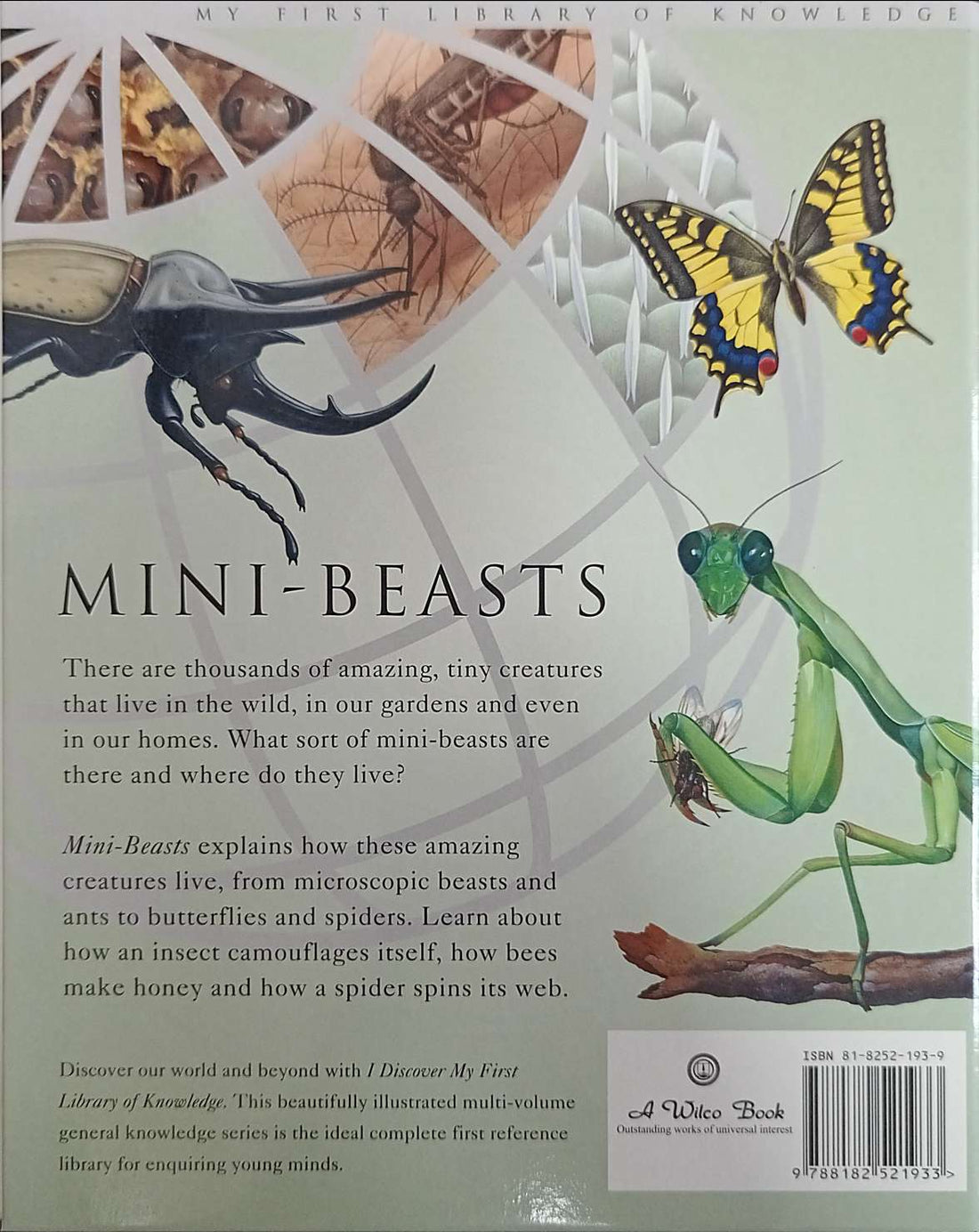 Discover My First Library of Knowledge: Mini Beats