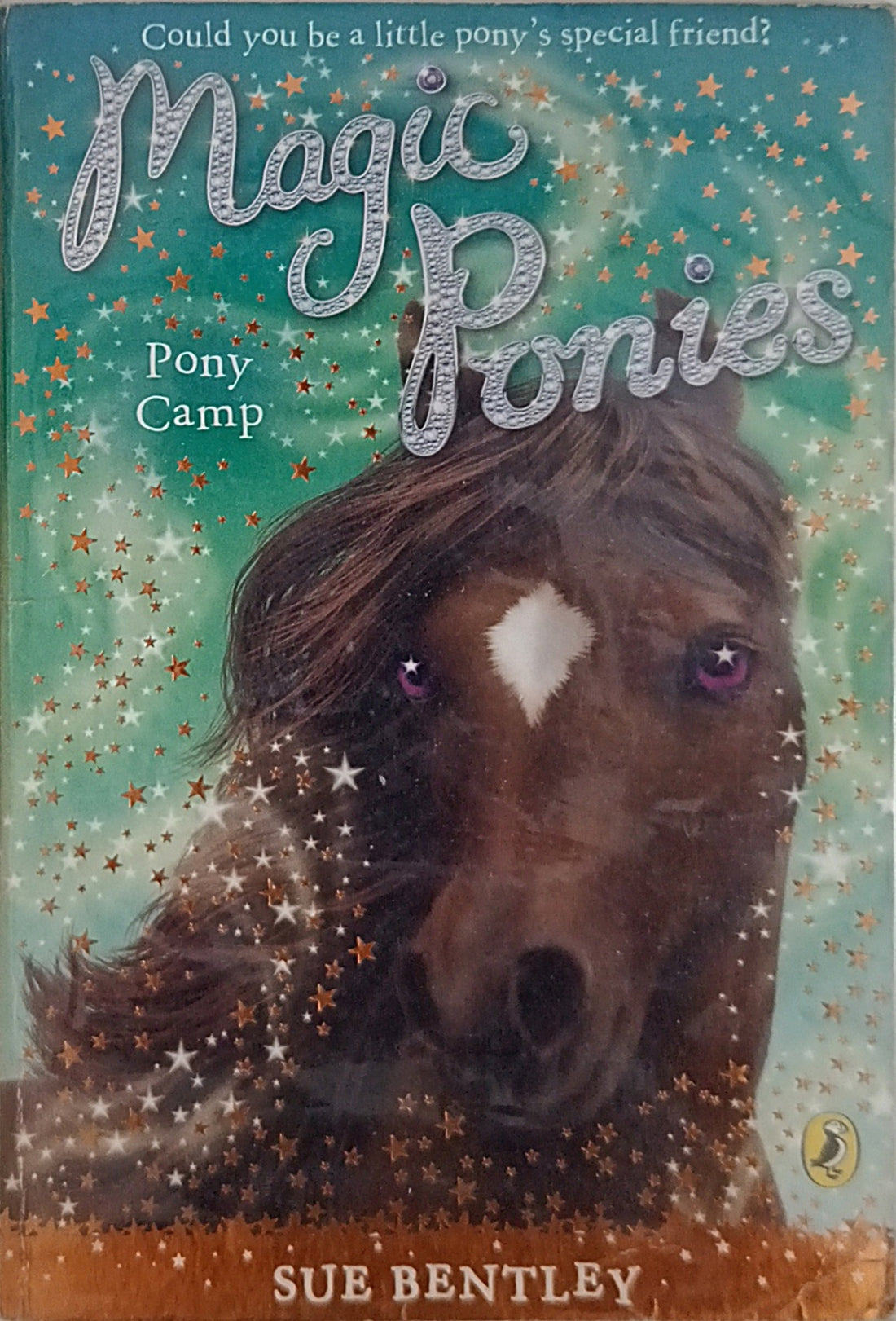 Magic Ponies #8 Pony Camp