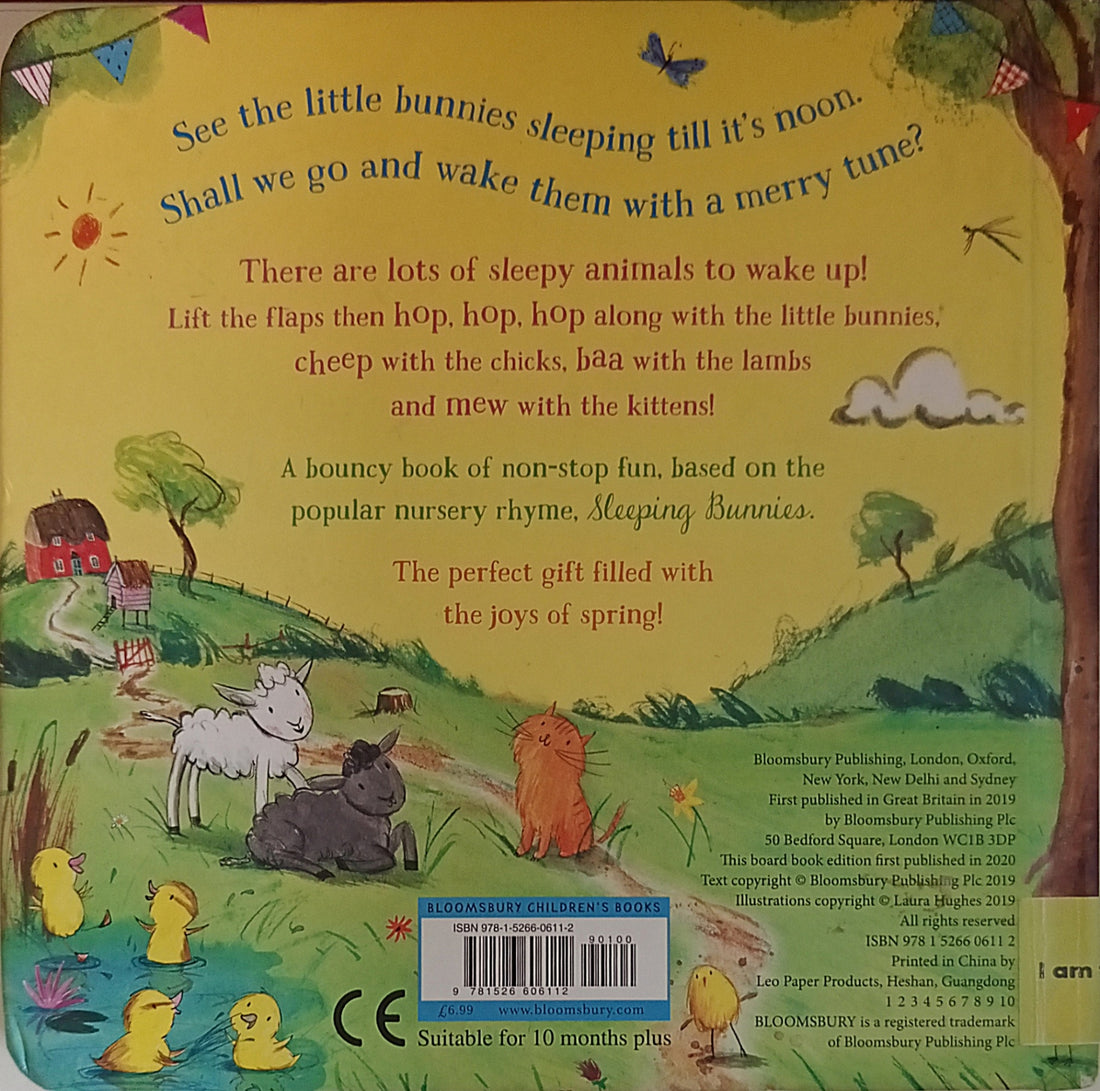 The Bunny Adventures: Hop Little Bunnies (A Lift-the-Flap Book)