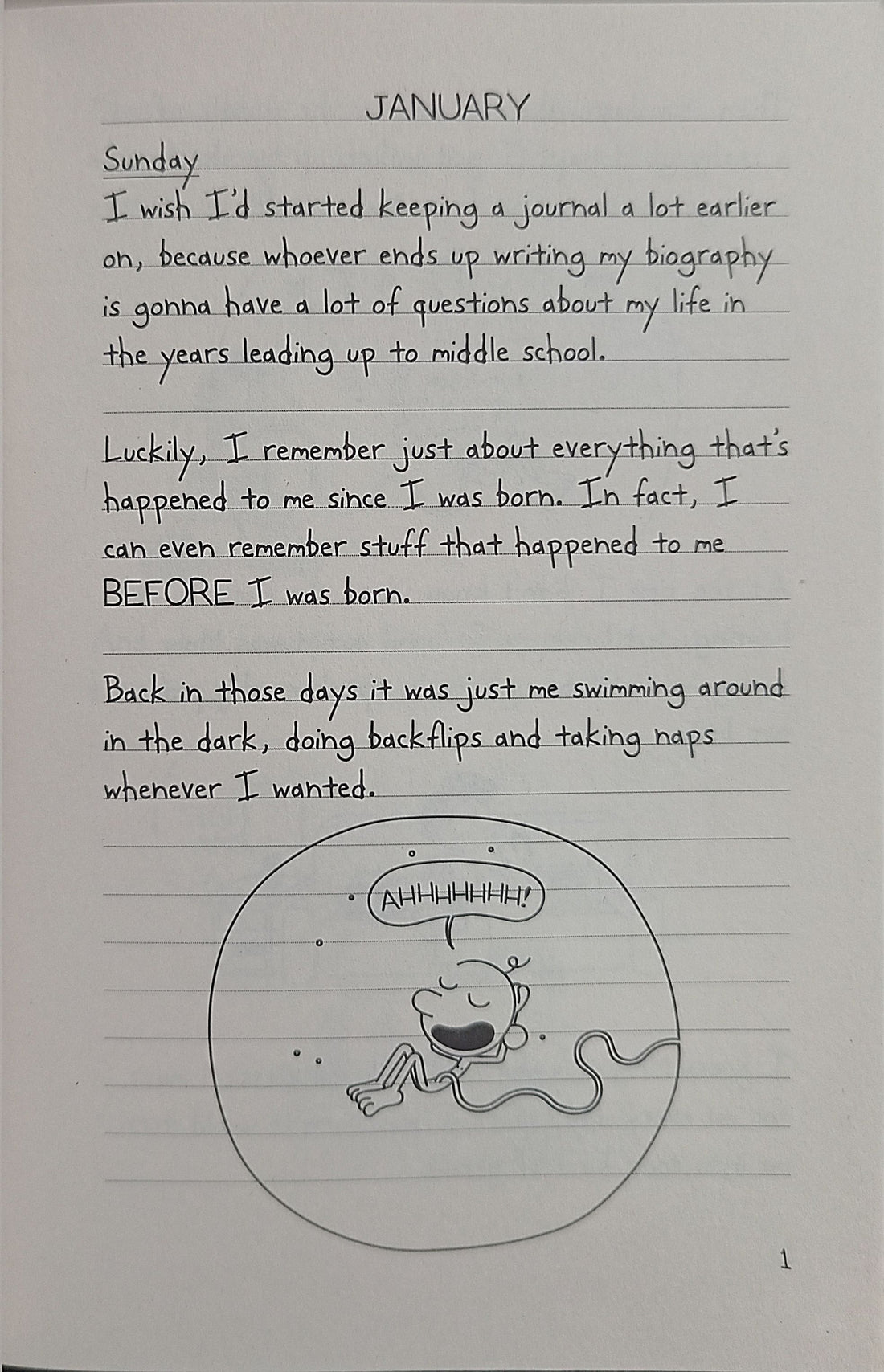 Diary of a Wimpy Kid #7 The Third Wheel