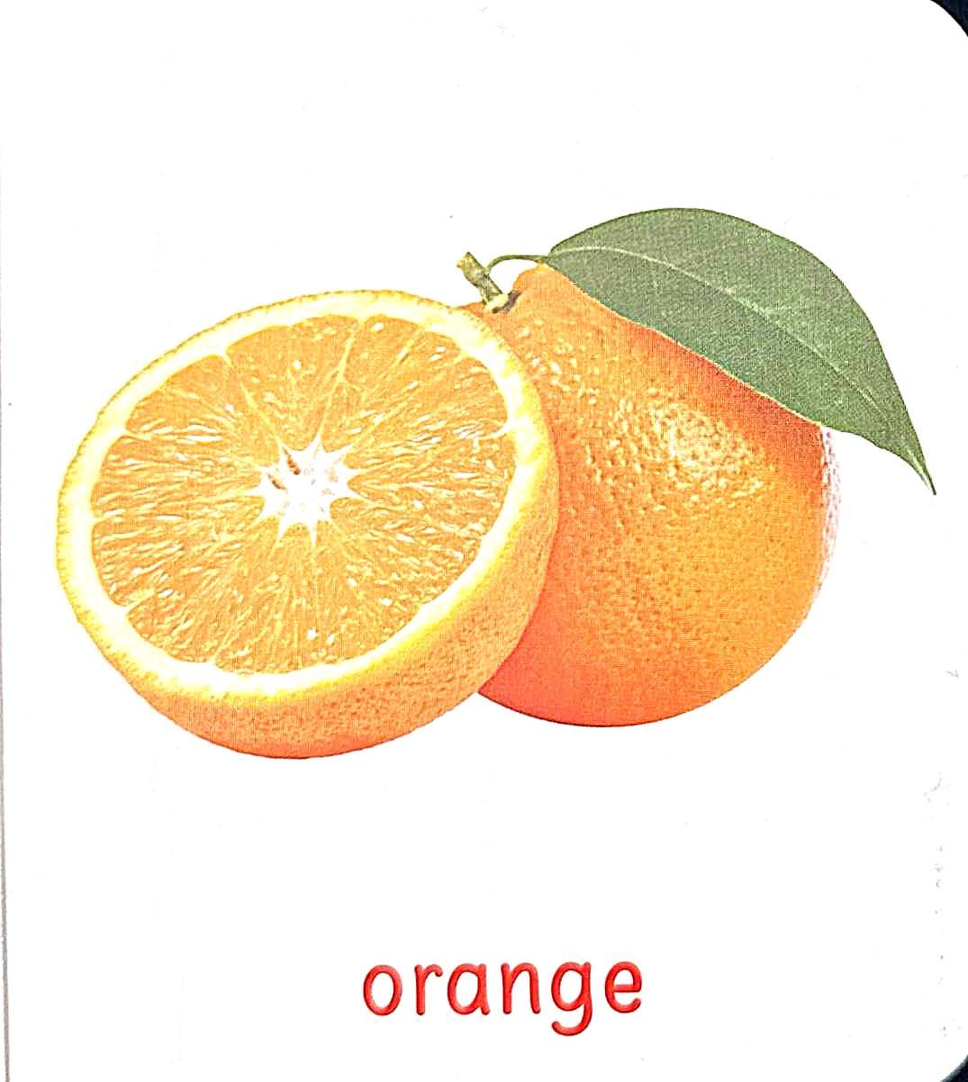 My First Book of: Transport, Vegetables, Fruits, Birds, Shapes (Set of 5 Books)