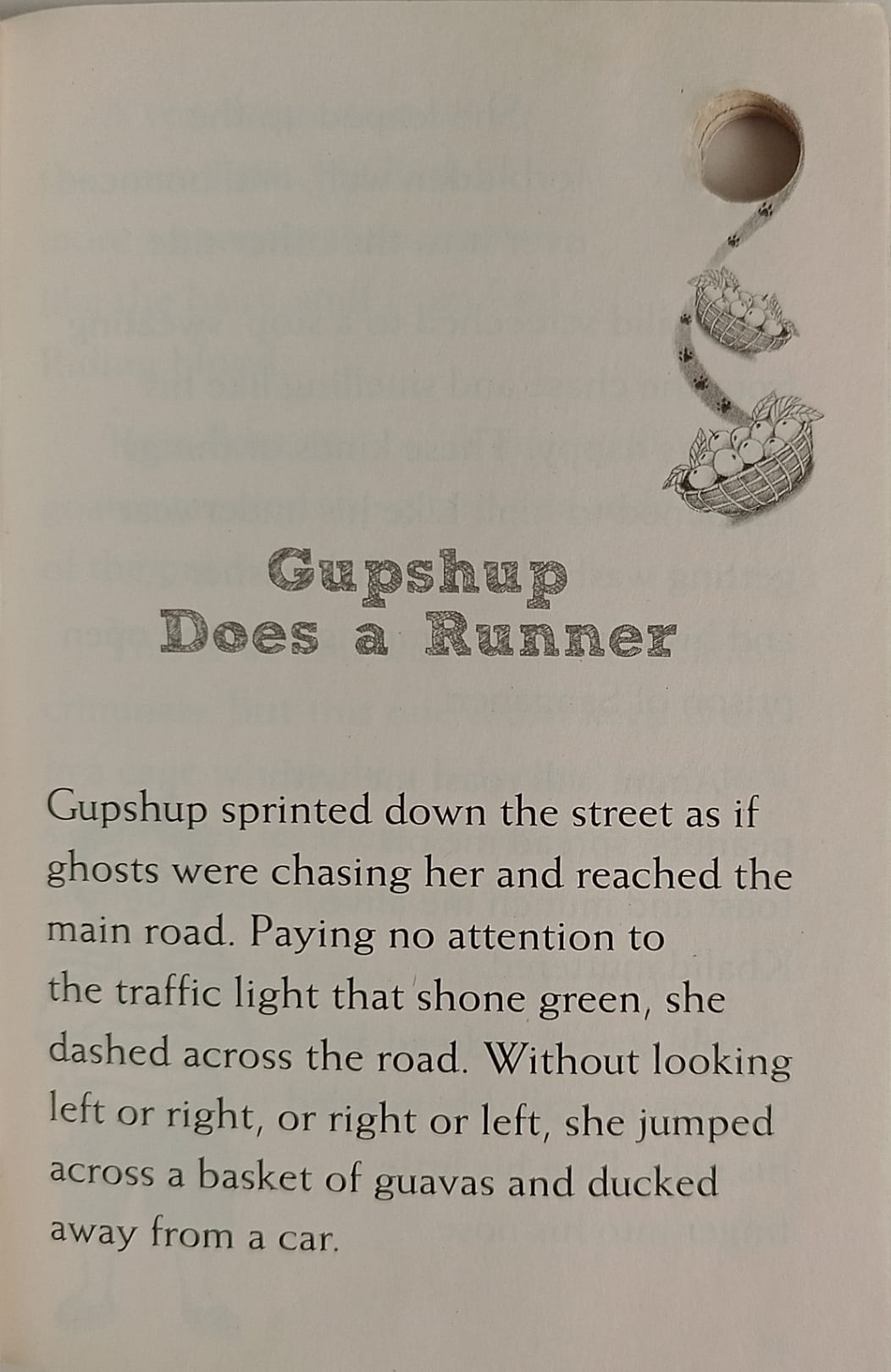 Hole Books: Gupshup Goes to Prison