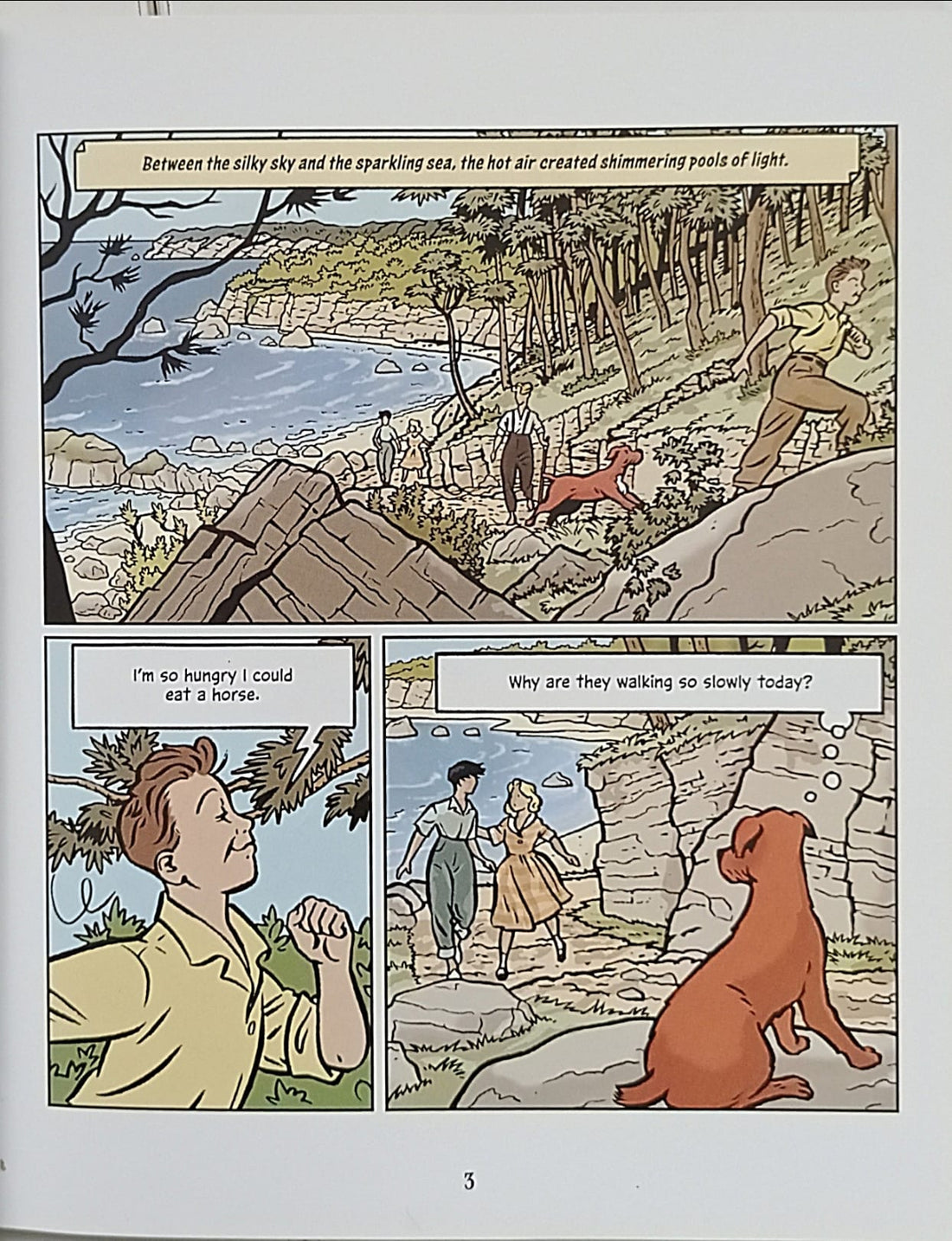 The Famous Five #3 Five Run Away Together (The Graphic Novel)