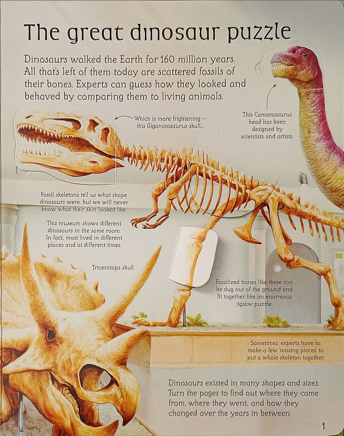 Usborne Flap Books: See Inside The World of Dinosaurs