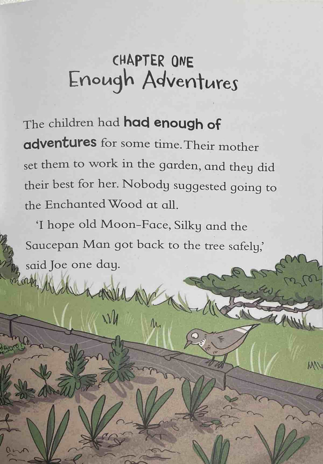 A Faraway Tree Adventure #6 The Land of Dreams