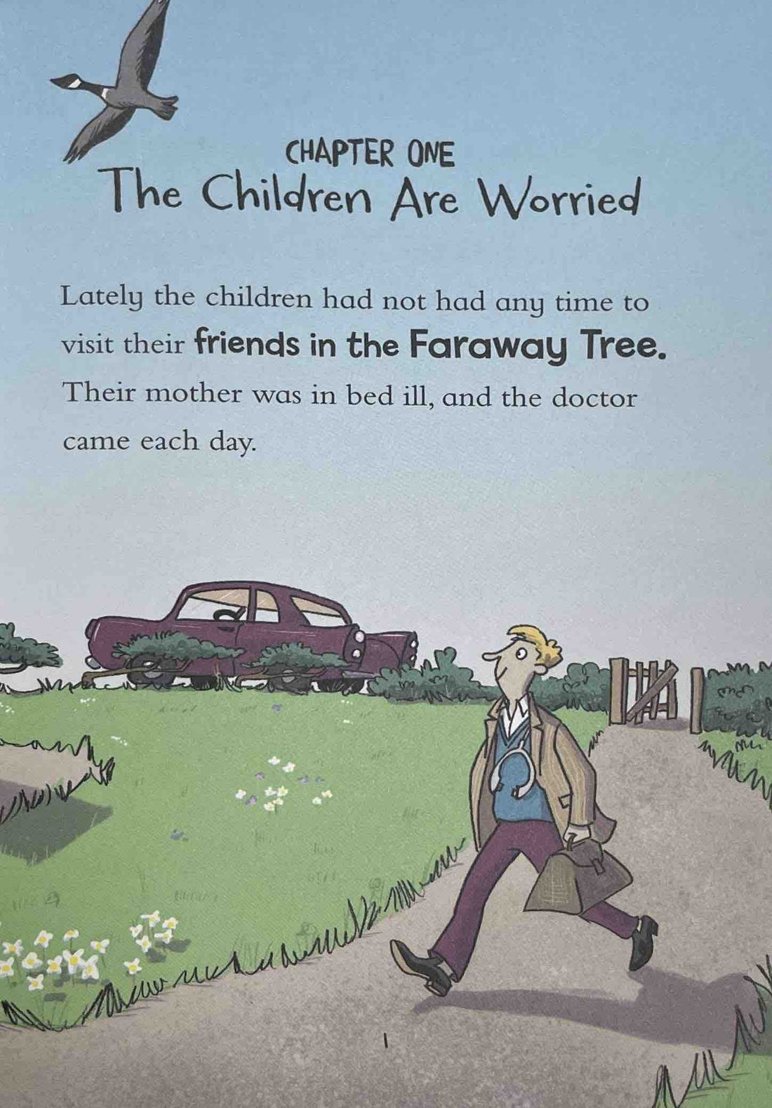 A Faraway Tree Adventure #2 The Land of Magic Medicines