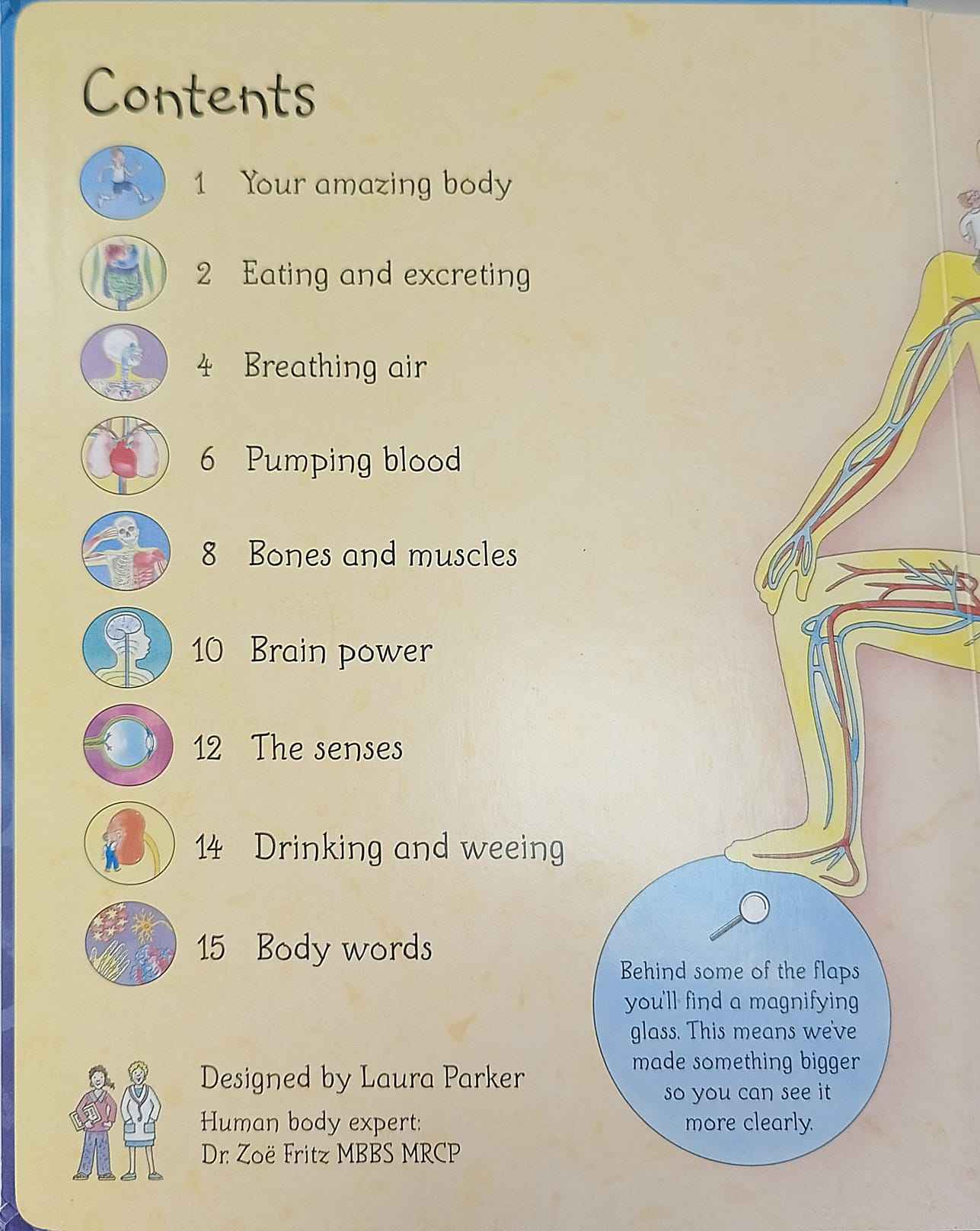 Usborne Flap Books: See Inside Your Body