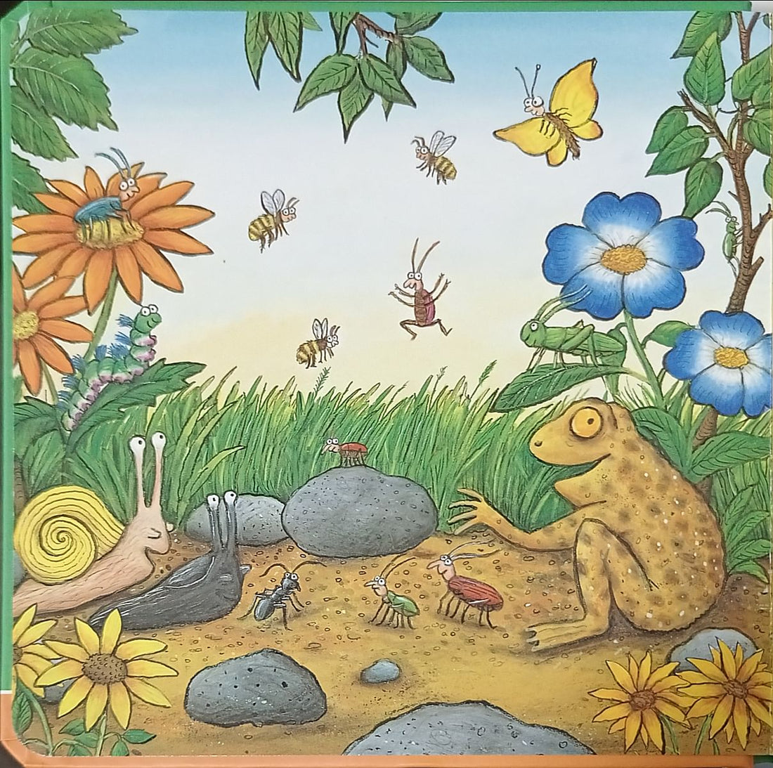 Let's Find Superworm (A Lift-the-Flap Book)