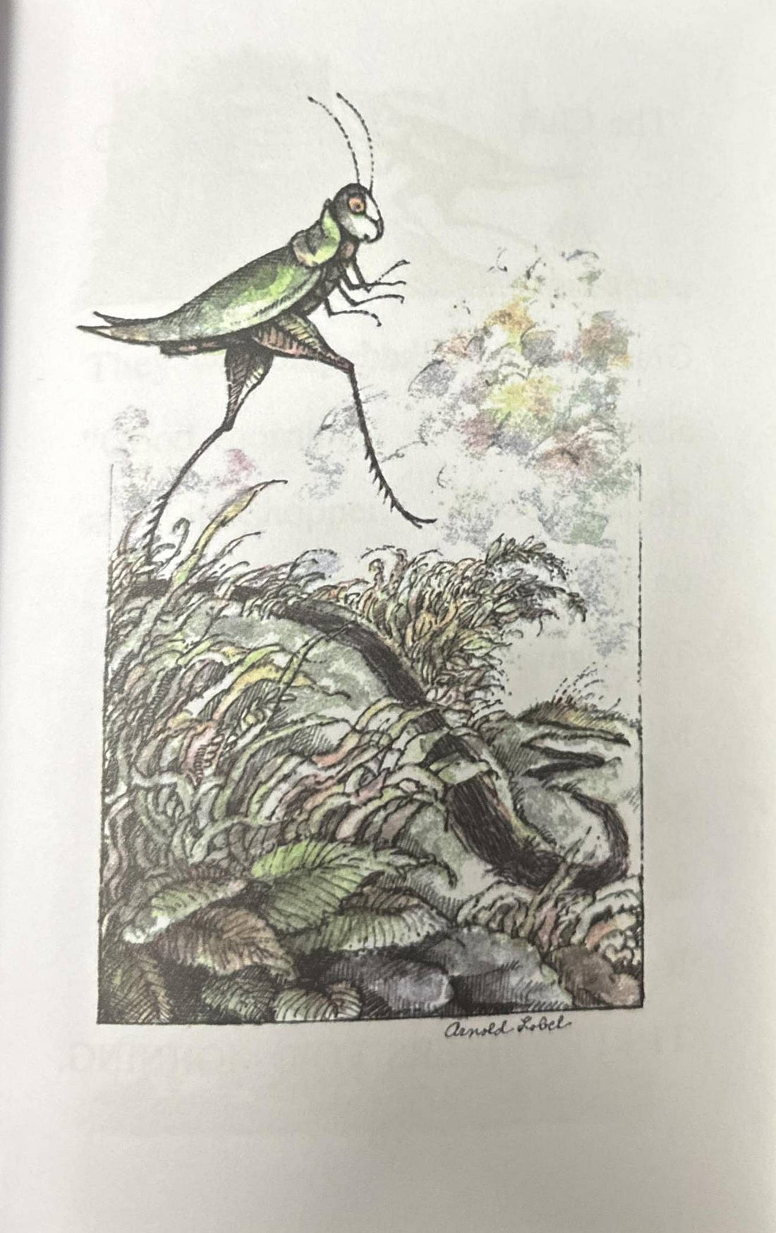 I Can Read! Level 2: Grasshopper on the Road