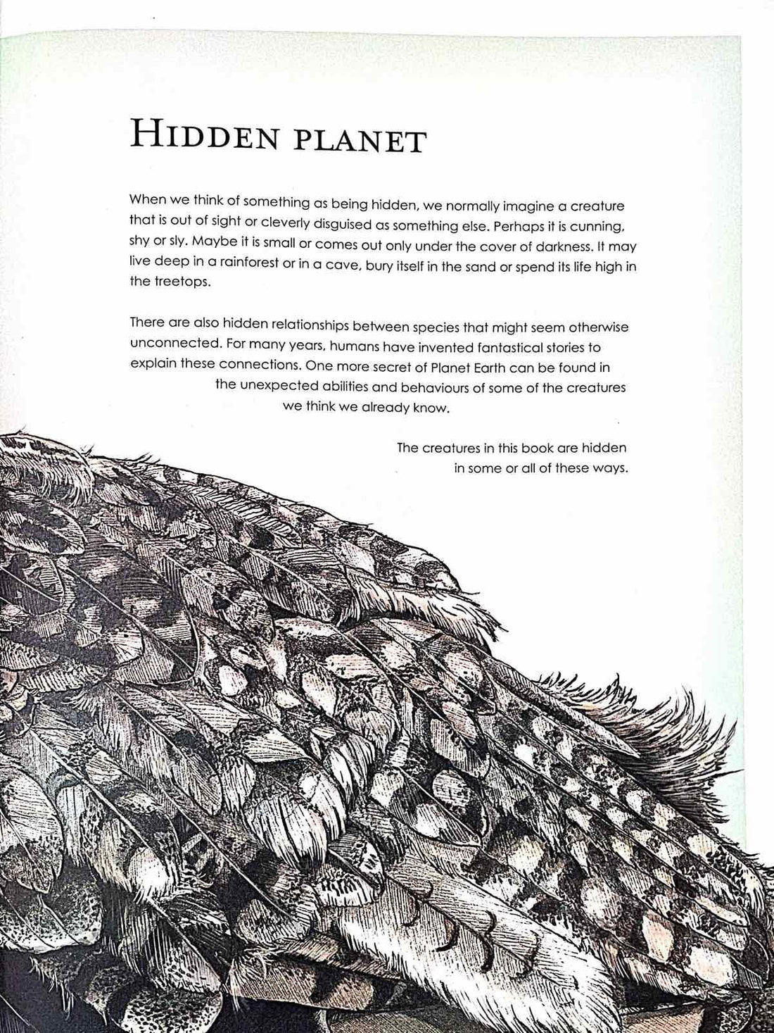 Hidden Planet
