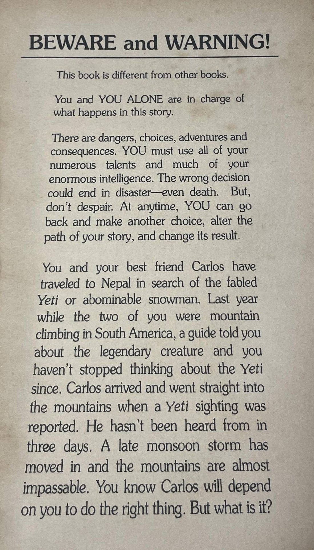 Choose Your Own Adventure: The Abominable Snowman