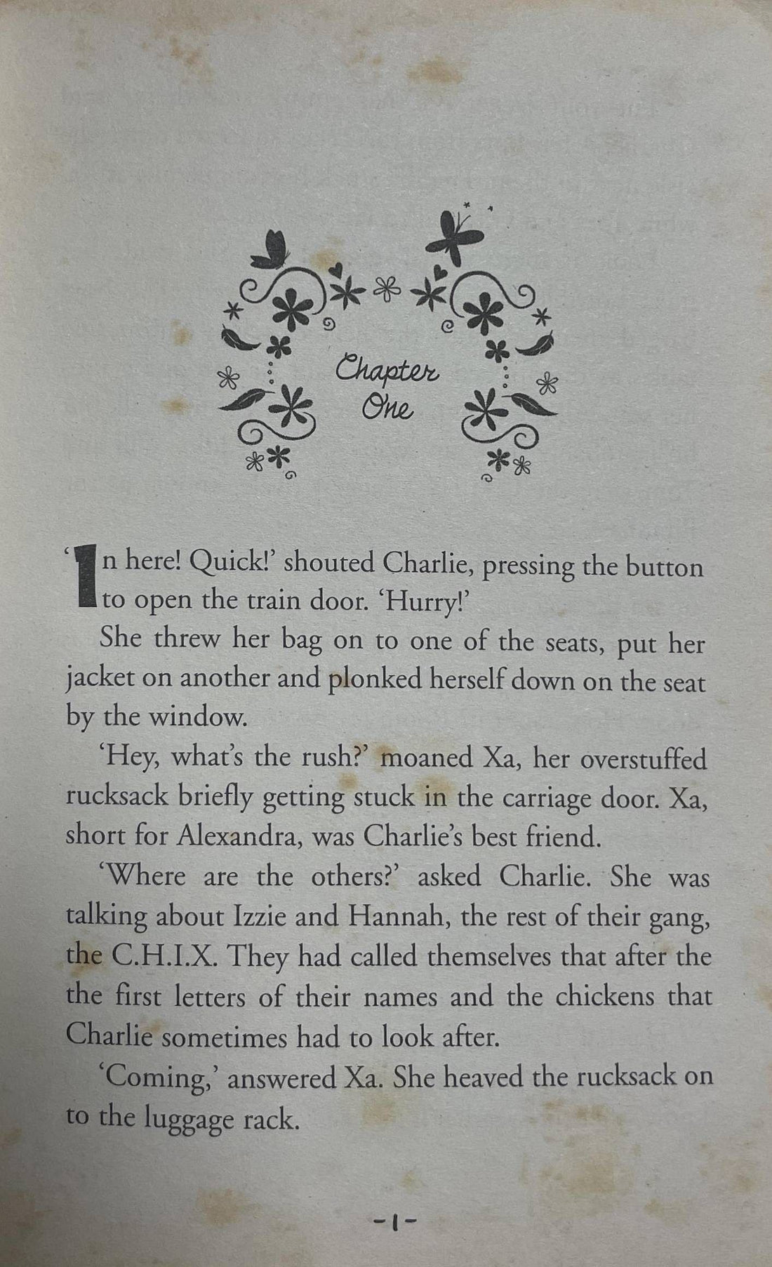 The Wild Chickens #2 The New Girl