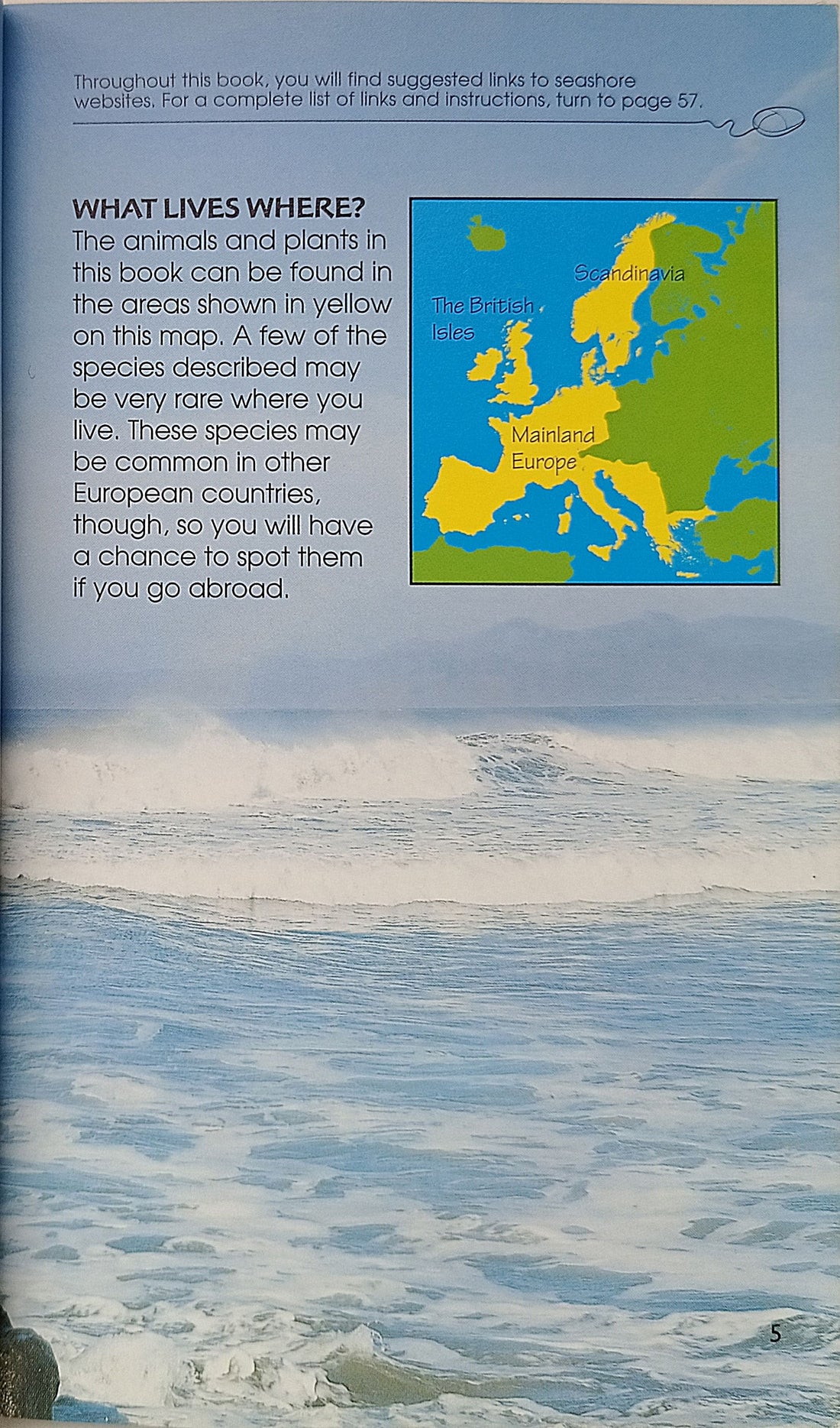 Usborne Spotter's Guides: The Seashore