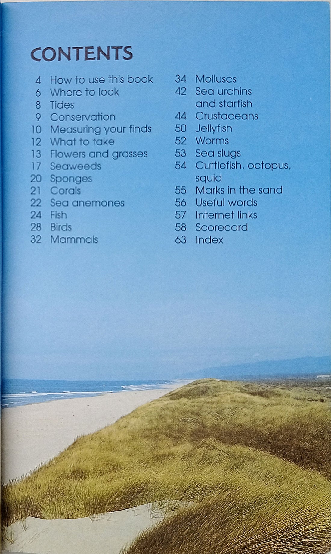 Usborne Spotter's Guides: The Seashore