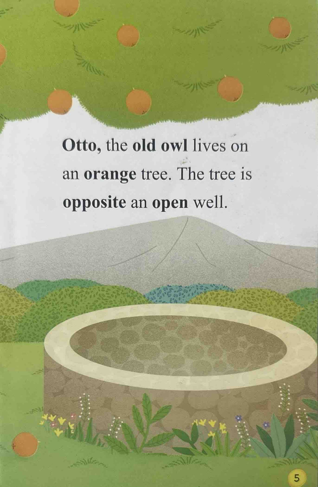 All Set to Read Level Pre K: Otto and the Oval Bowl