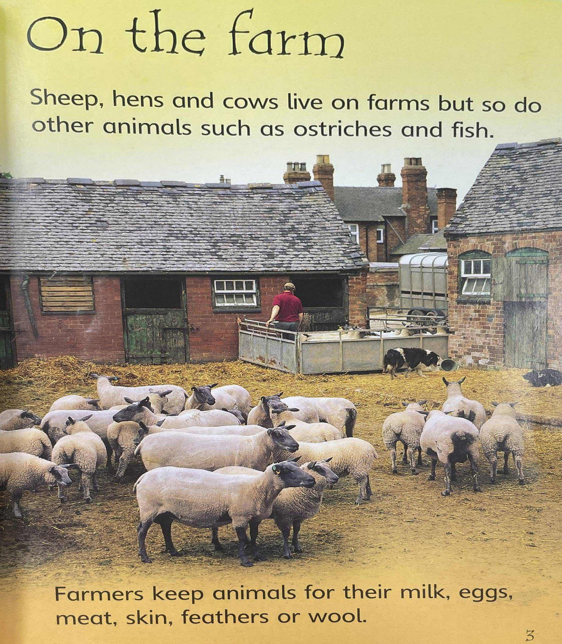 Usborne Beginners: Farm Animals