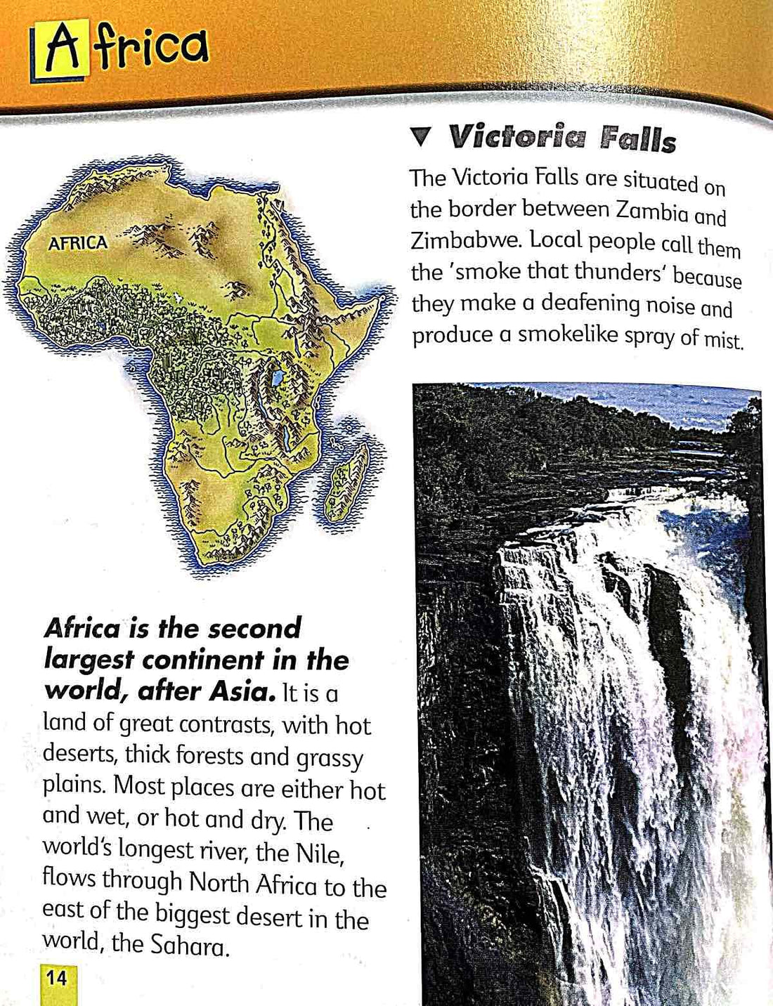 1st A-Z Encyclopedia for the Younger Reader