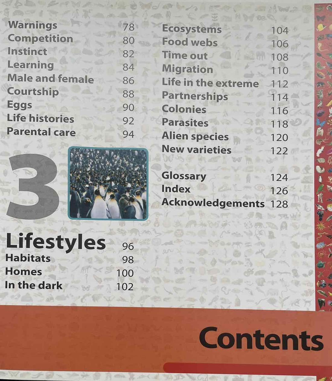 Wow! Animals (Lots of Amazing Things About Animals)