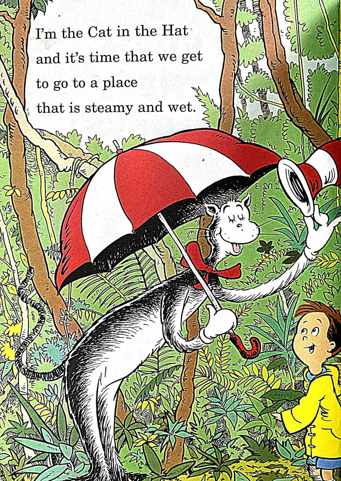 If I Ran the Rainforest (Mini Book)