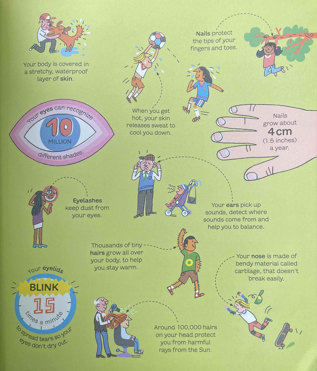 The Usborne Big Book: The Usborne Big Book of the Body