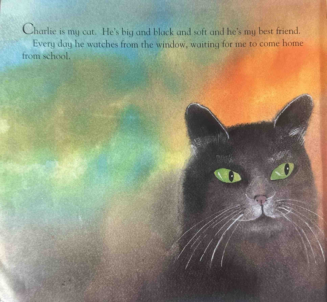 My Cat Charlie
