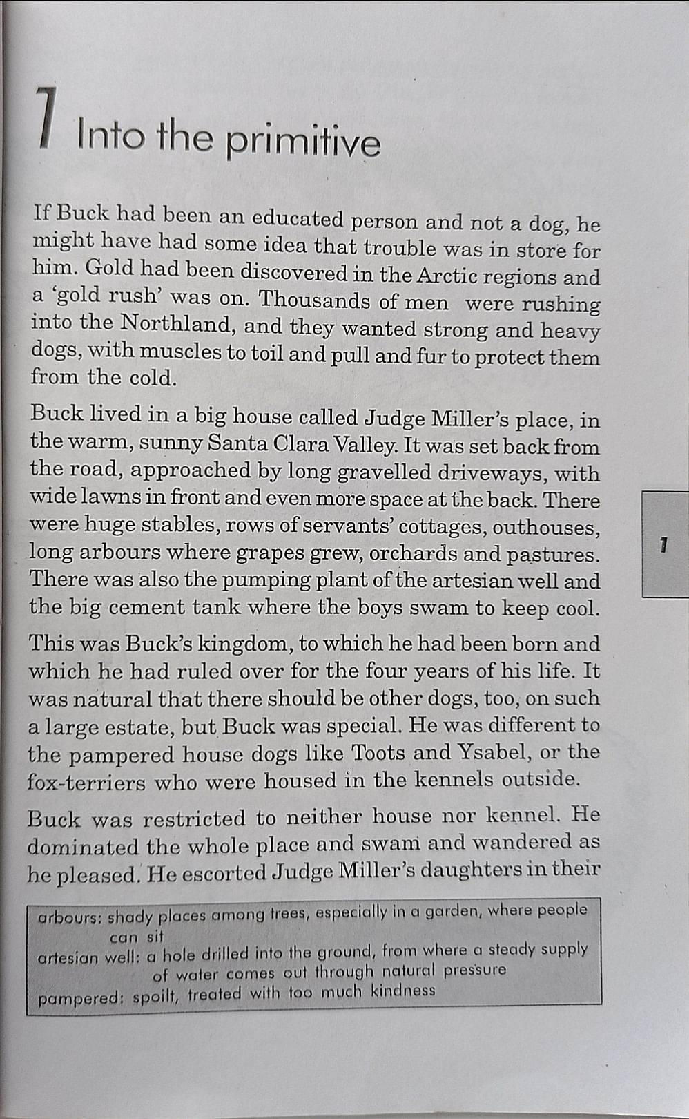 The Call of the Wild (Level 5 Easy Readers)