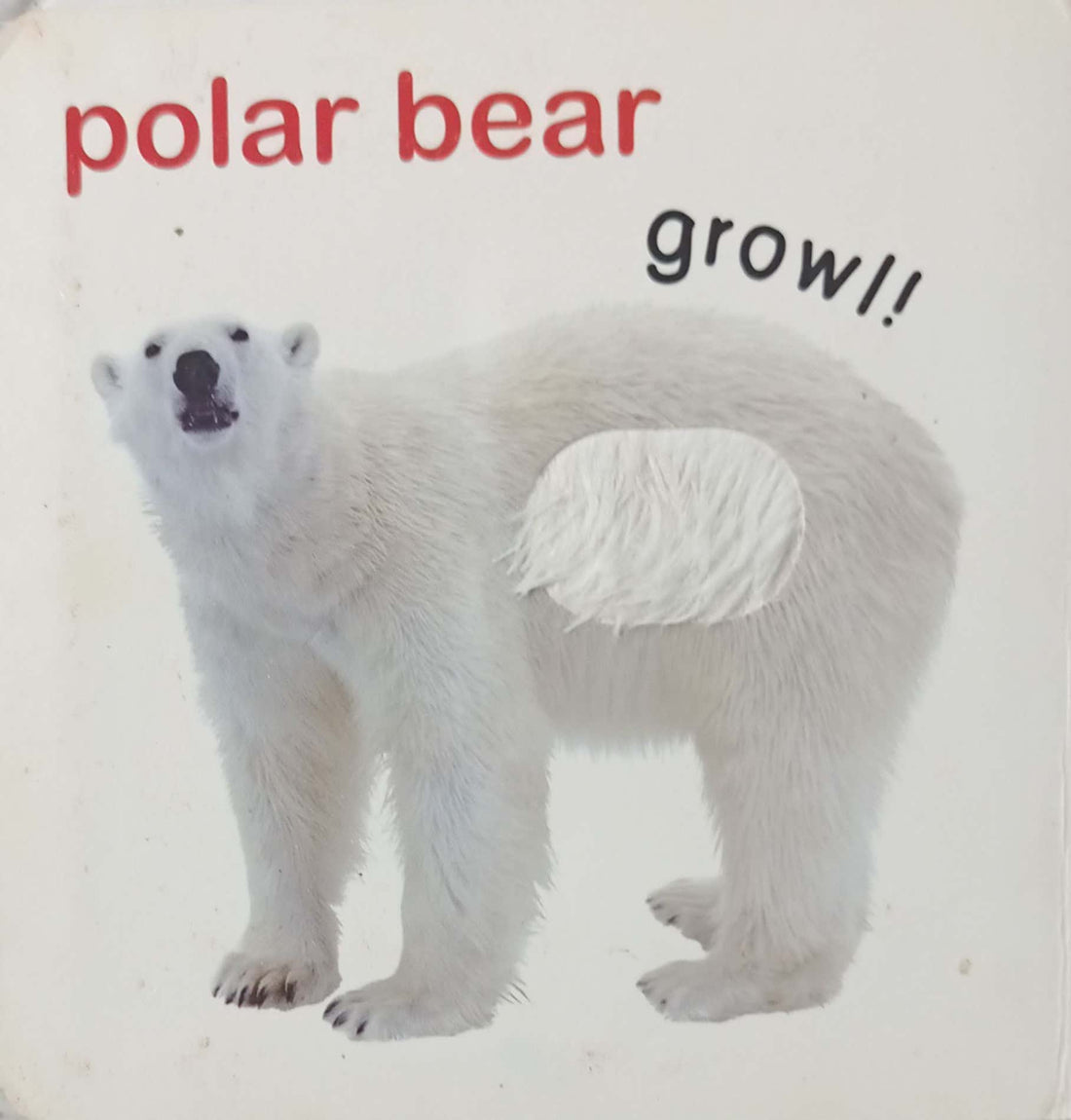 My First Touch & Feel Book: Wild Animals (Touch and Feel Board Book For Children)