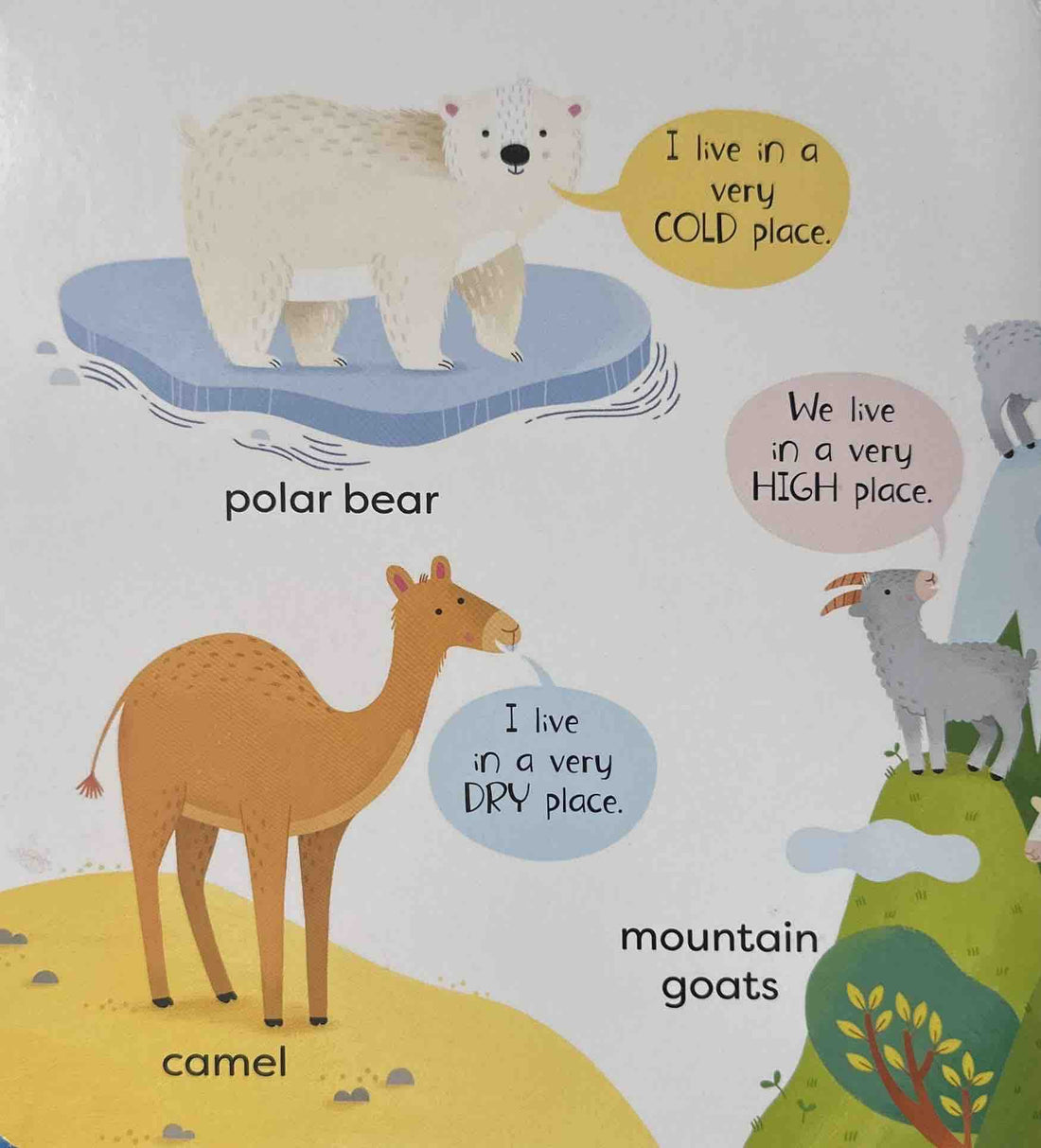 Usborne First Animals Book