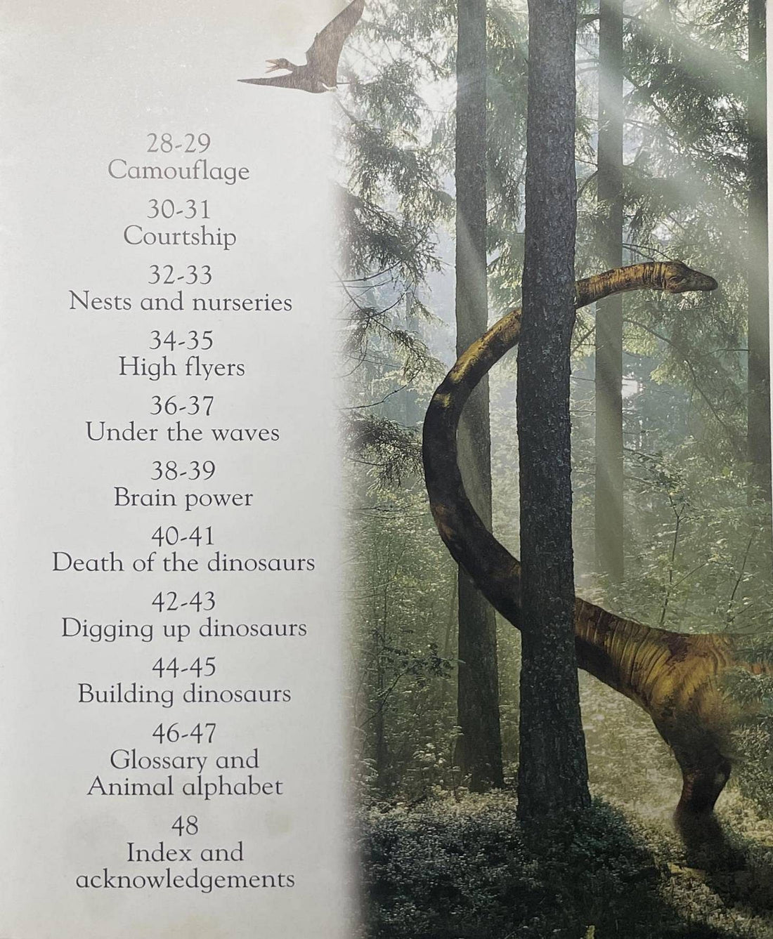 Dinosaur (DK Eyewonder)