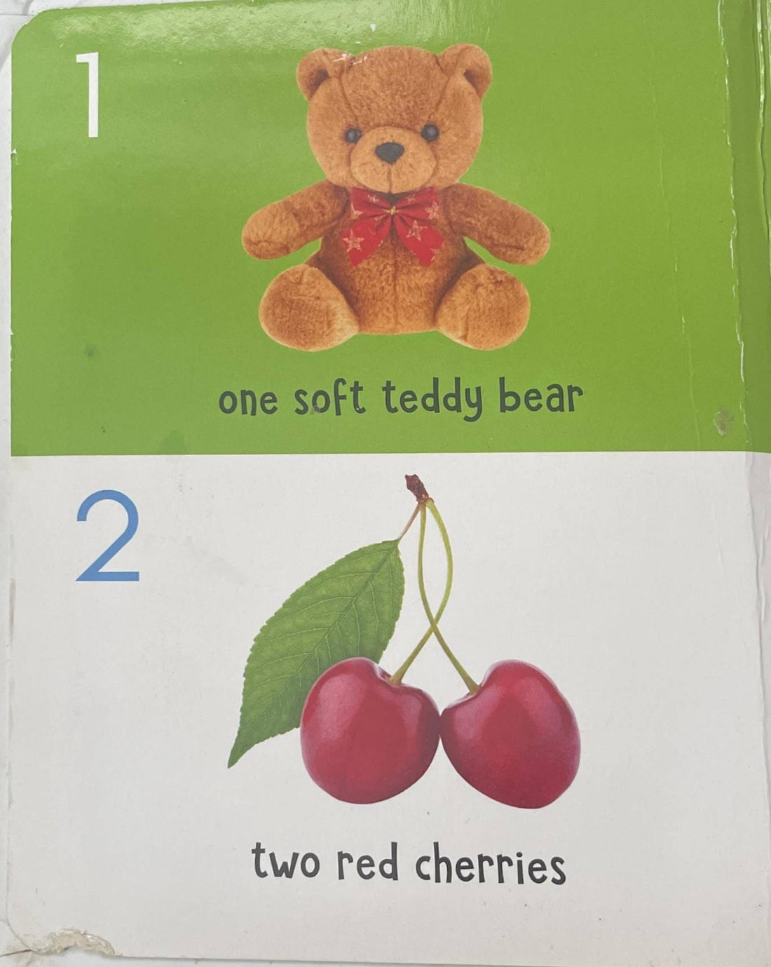 My First 100 Numbers (Padded Board Book)