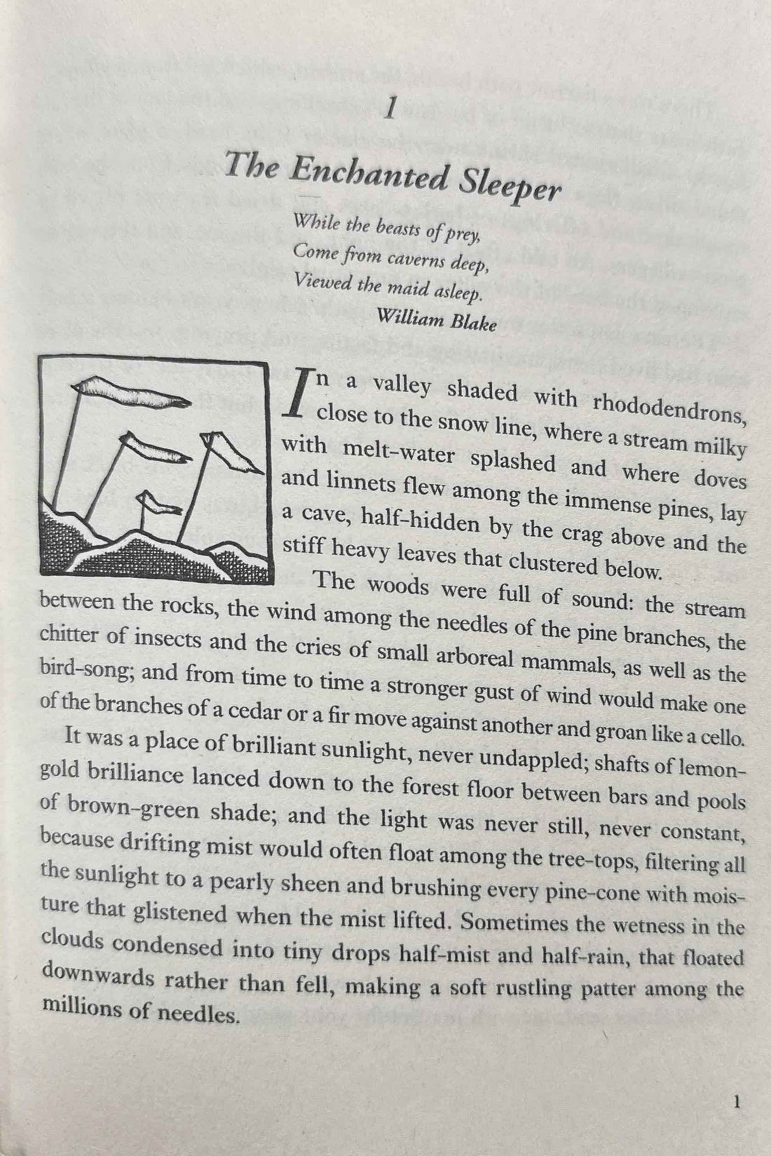 His Dark Materials #3 The Amber Spyglass