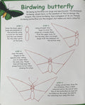How to Draw Australian Wildlife - Neown