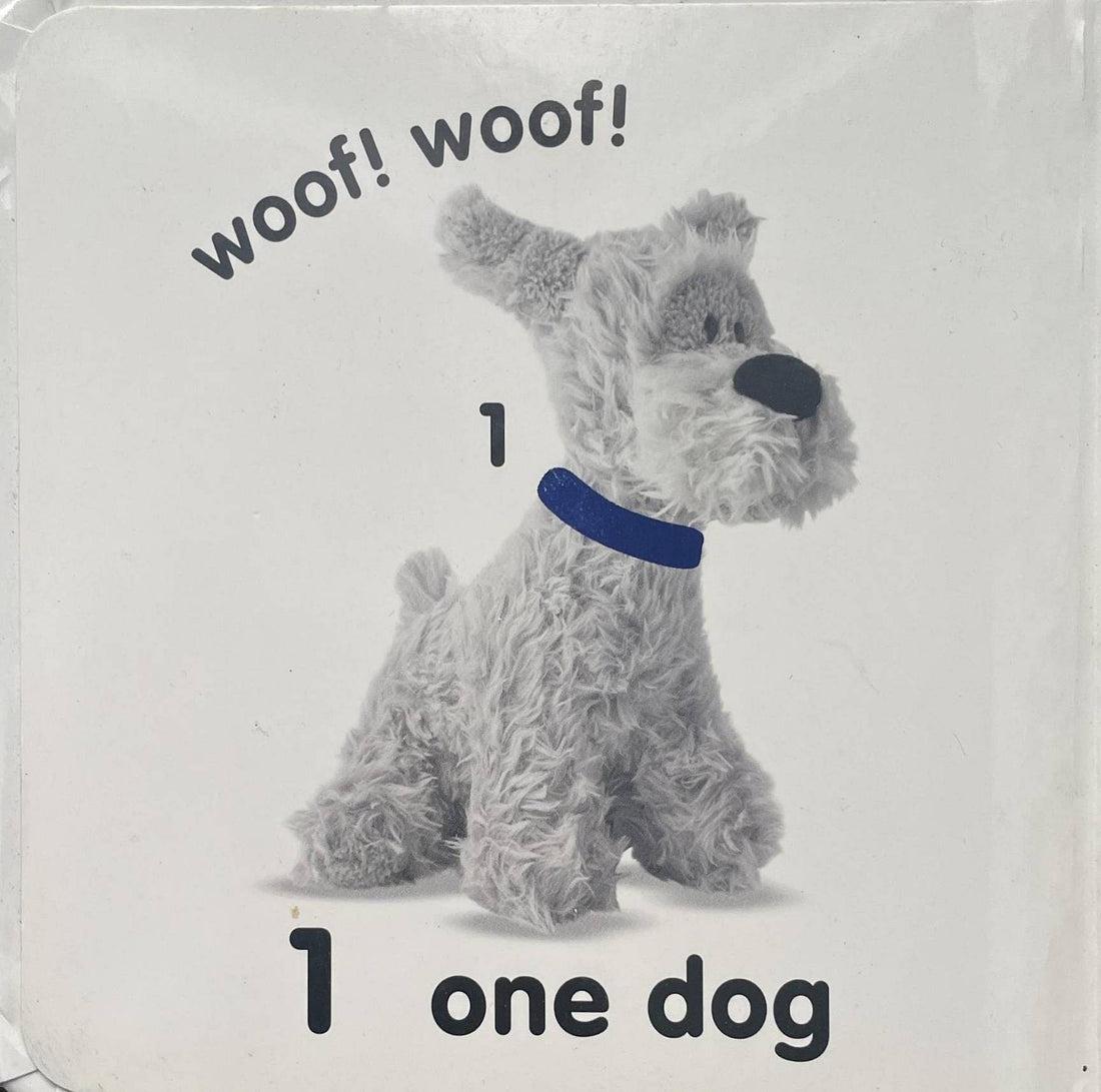 Baby Touch and Feel: Counting (Baby Touch and Feel)