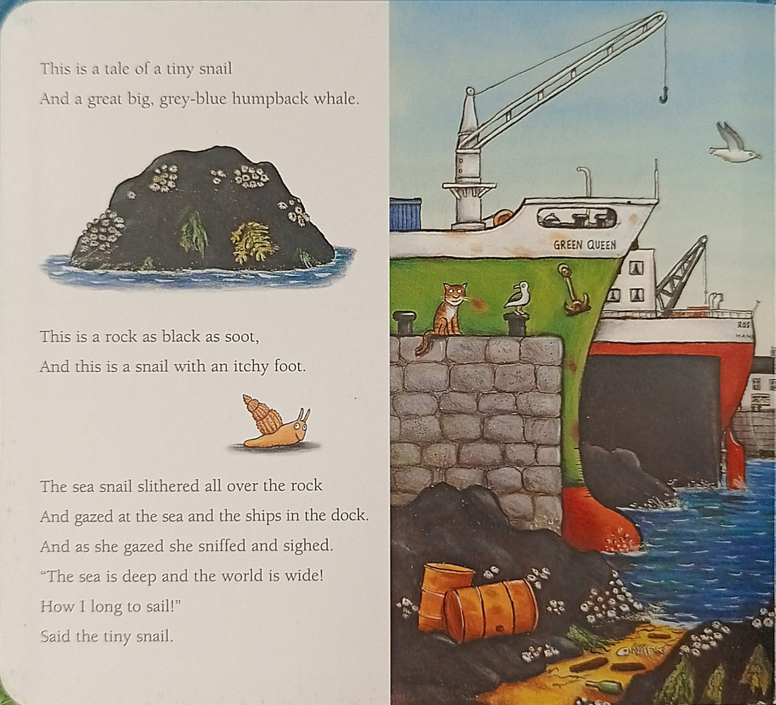 The Snail and the Whale (Board Book)