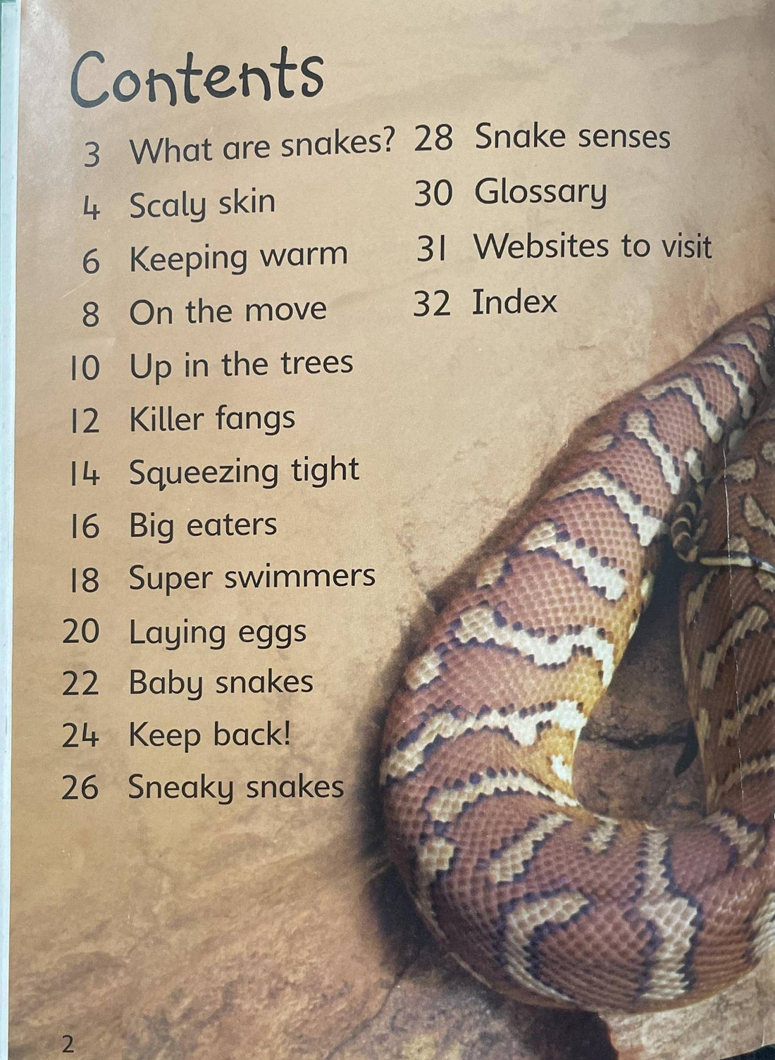 Usborne Beginners: Snakes