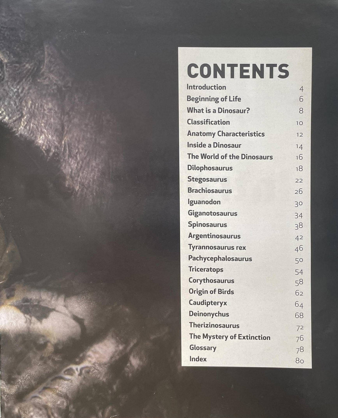 Dinosaurs (Meet the Giants of the Prehistoric World)