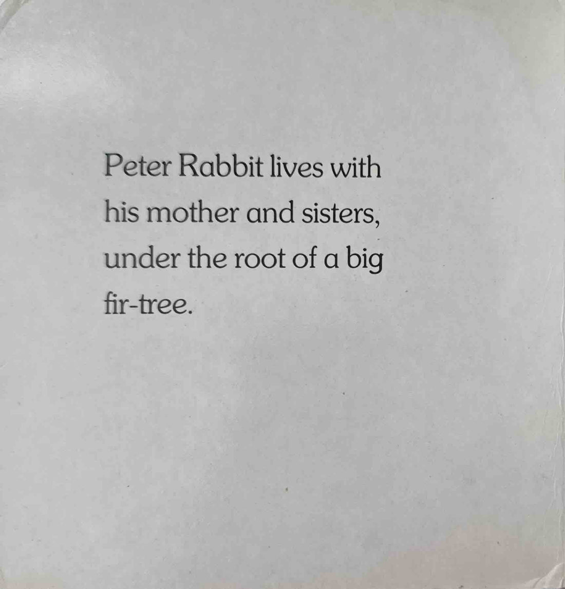 Meet Peter Rabbit