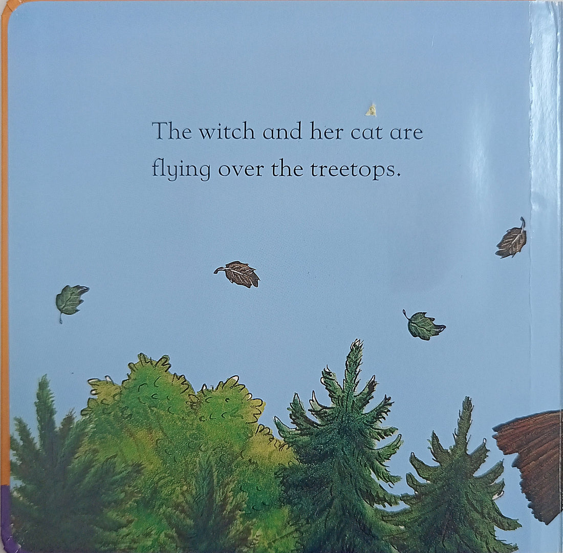 Room on the Broom (Touch and Feel Book)