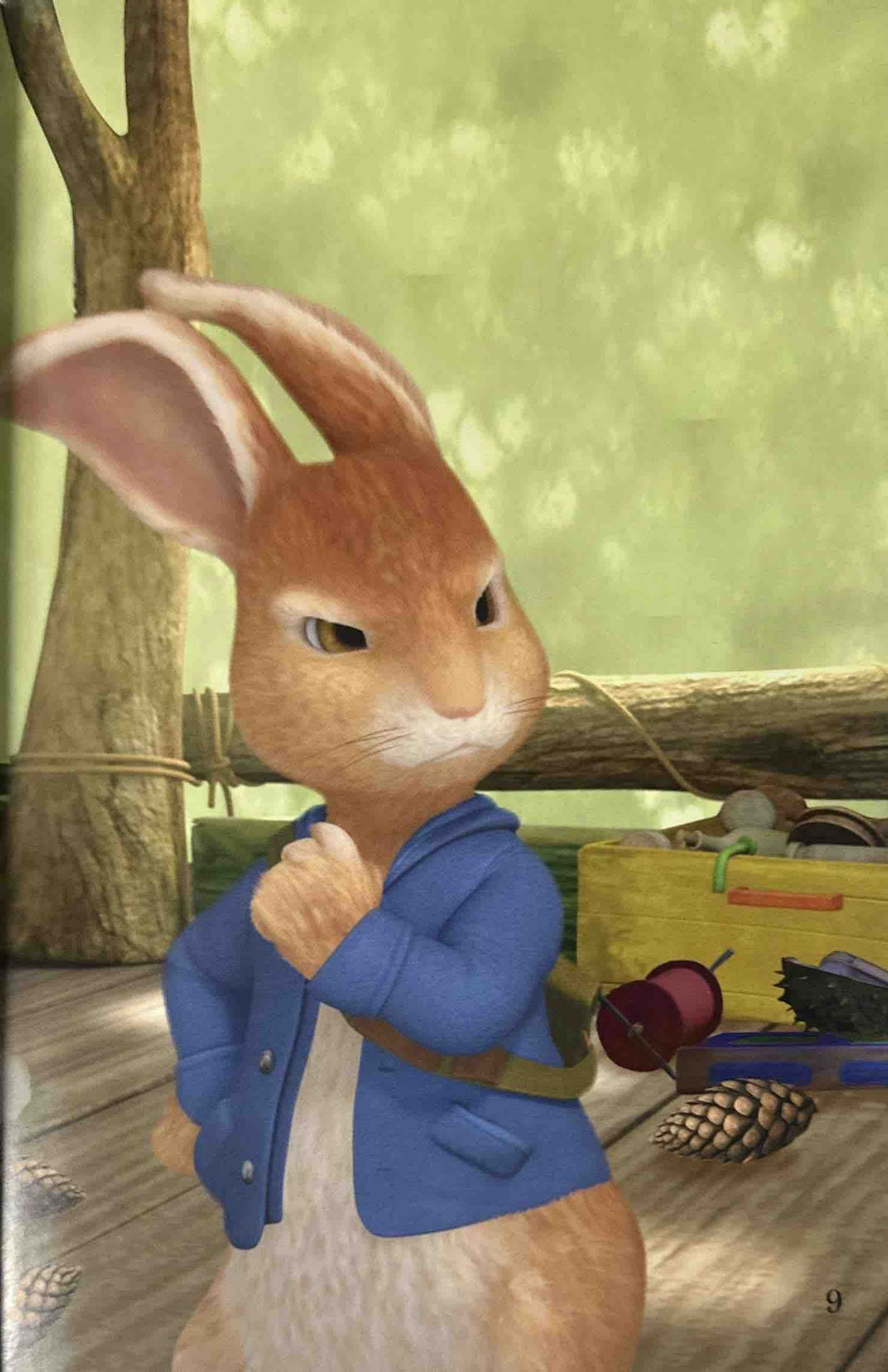 Read it Yourself with Ladybird Level 1: Peter Rabbit Island Adventure