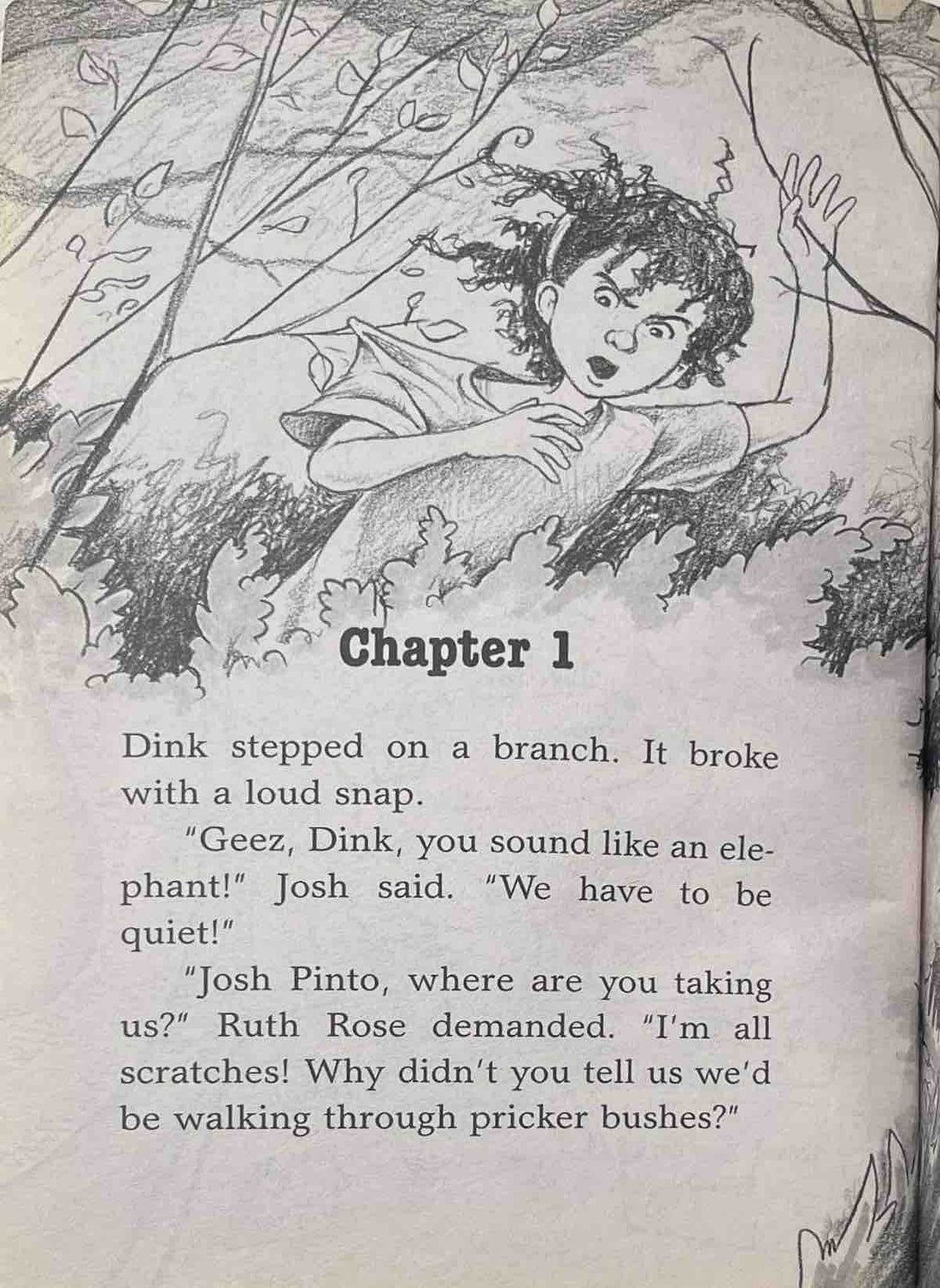 A to Z Mysteries #6 The Falcon's Feathers