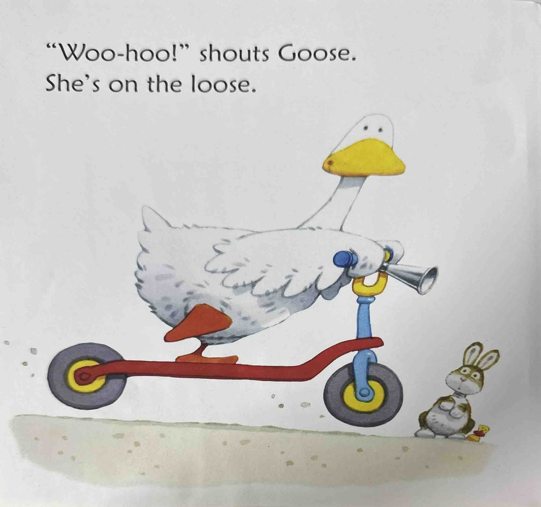Usborne Phonics Readers: Goose on the Loose