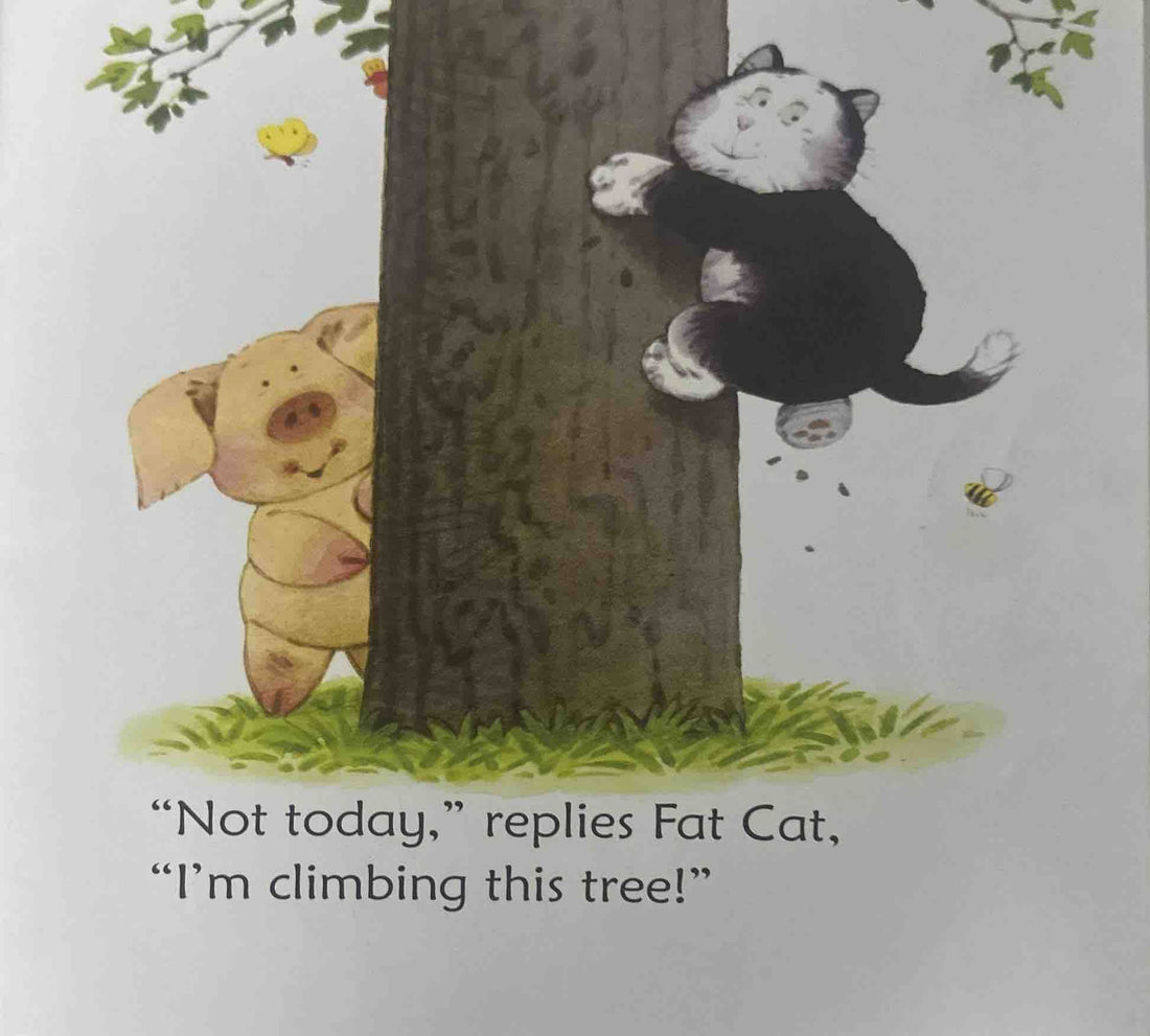 Usborne Phonics Readers: Fat Cat on a Mat