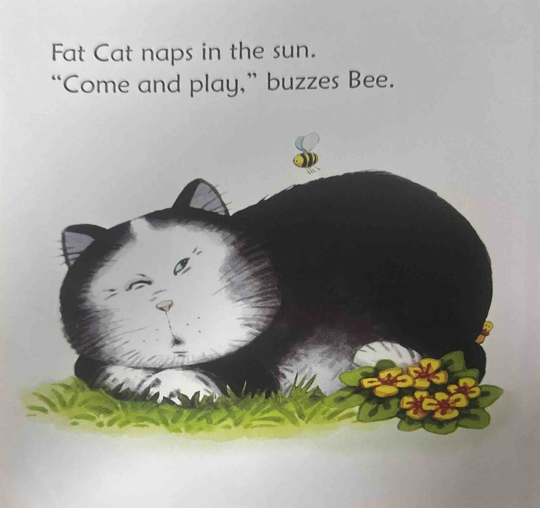 Usborne Phonics Readers: Fat Cat on a Mat